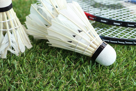 的称赞带进 的称赞带进