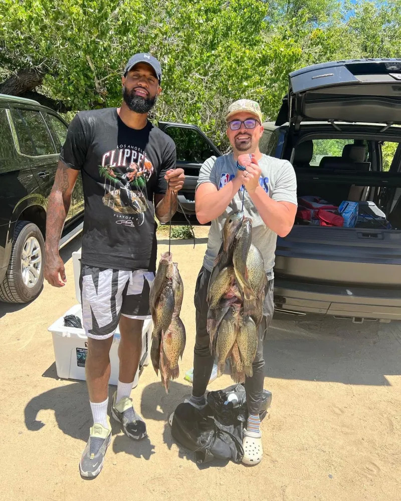 与审美的双 与审美的双